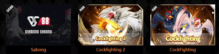 sabong